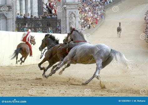 Siena s palio horse race editorial photo. Image of jockeys - 5583961