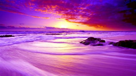 65+ Purple Beach HD Wallpapers - Download at WallpaperBro | Living at home