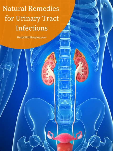 Urinary Tract Infection