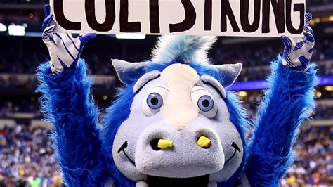 Go Blue! Colts mascot named '2019 NFL Mascot of the Year'