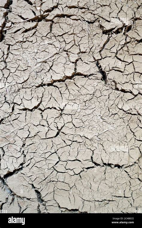 Dry ground texture Stock Photo - Alamy