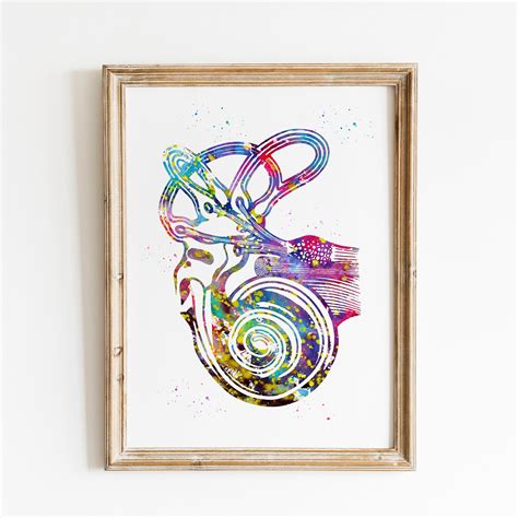 Ear Anatomy Cochlea Histology Cochlea Vestibular Acoustic - Etsy