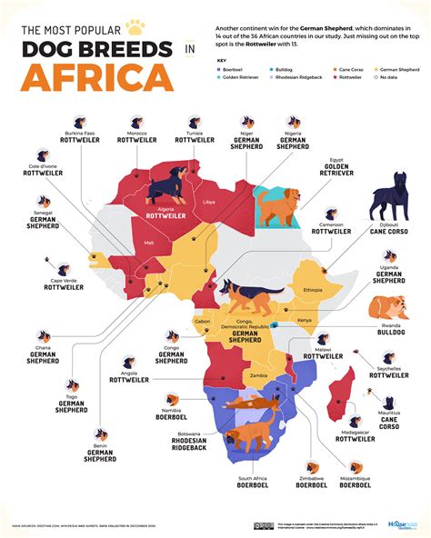 Which Country Has The Most Dog Breeds