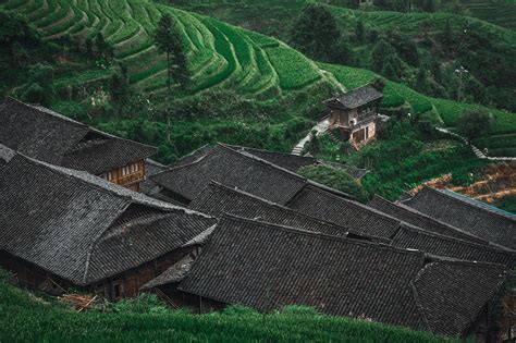 The Longsheng Rice Terraces on Behance