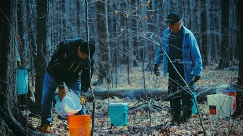 Aamjiwnaang First Nation helps at-home learners take in Anishinaabe ...