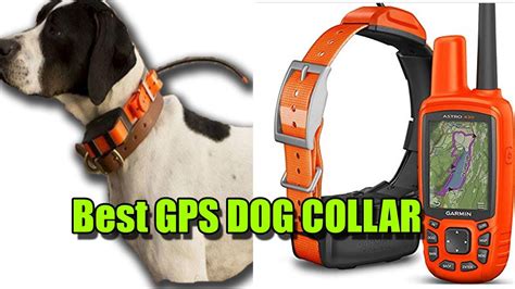 GPS DOG COLLAR | Best GPS Dog Collar 2019 - YouTube