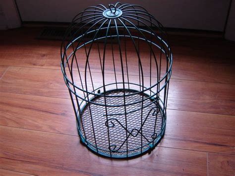 Owl cage! Think we could find an old bird cage somewhere? | Vintage bird cage, Green home decor ...