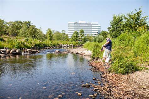 Mill River Park and Greenway — OLIN