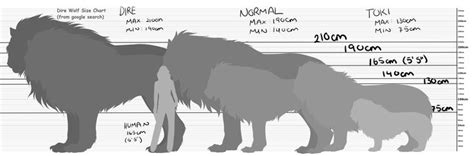 general dire wolf size chart | Tiere zeichnen, Fantasy tiere, Tiere