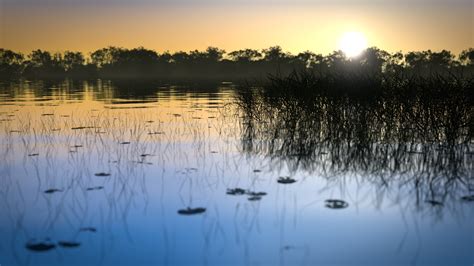 Lake at Sunrise - Zack Reed - Design and Coding