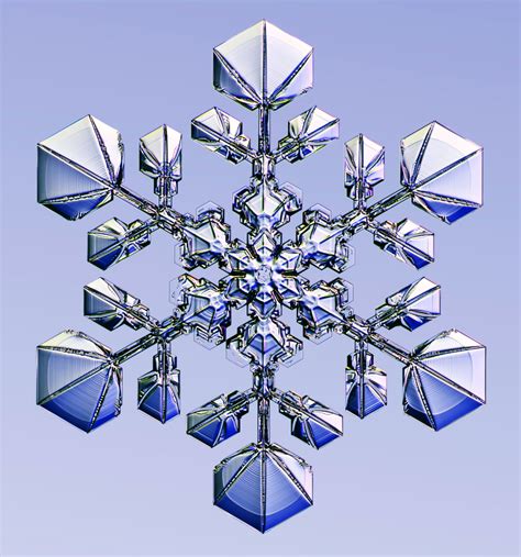 Snowflake | Snowflake photography, Snowflakes, Snow crystal