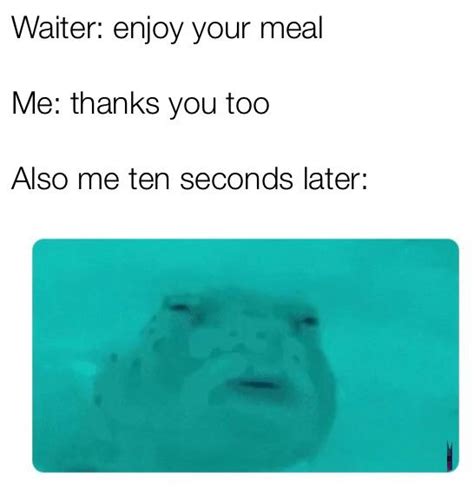 Enjoy your meal : r/memes