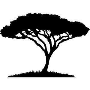 Silhouette Design Store - View Design #112762: african acacia tree