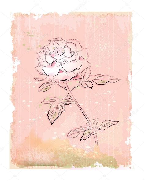 Vintage white rose — Stock Vector © sannare #5847224