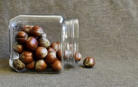 10 Ways to Use Hazelnut Oil – Mom Prepares