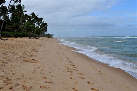 Free picture: beach, yellow, sand