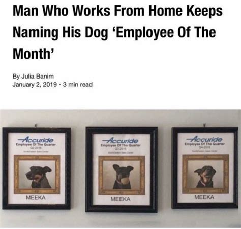 employee of the month | Blessed Image | Know Your Meme