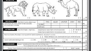 Baseline cognitive assessments are important for dementia treatment