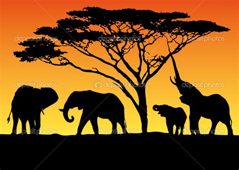 Elephant herd — Stock Vector © I.Petrovic #46232205