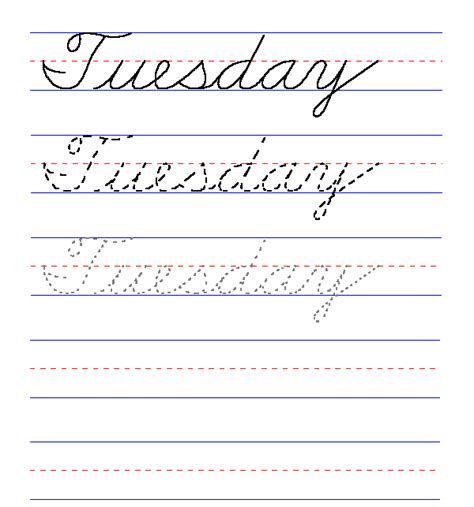 Cursive Tuesday Calligraphy : The height of calligraphy was reached in the.