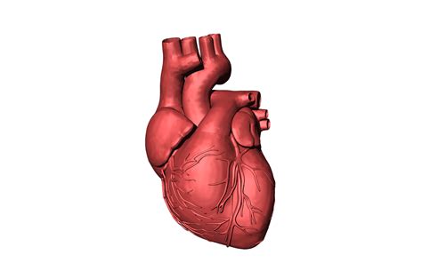 Le cœur artificiel CARMAT : quels objectifs pour l’avenir ? • Pharm&Cie