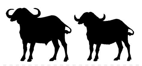 Water Buffalo Silhouette at GetDrawings | Free download