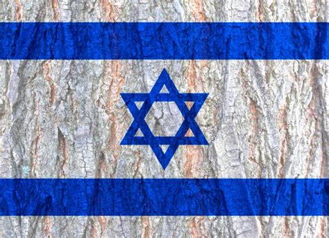 Israel tree planting Stock Photos, Royalty Free Israel tree planting Images | Depositphotos