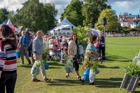 Taunton Flower Show 2019: Ticket prices, parking and all the other ...