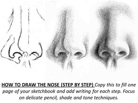 9 Best Images of Horse Terms Worksheet - Anatomical and Directional Terms, Respiratory system ...