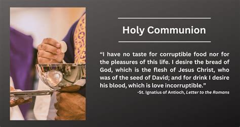 Daily Catholic Quote — Saint Ignatius of Antioch — Integrated Catholic ...