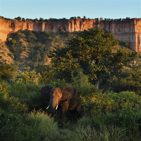 Simbabwe - Gonarezhou Nationalpark - African Special Tours