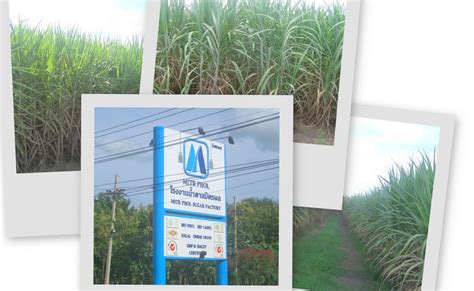 Sugarcane Knowledge Center: Mitr Phol Sugar Corporation -The Best of THAILAND