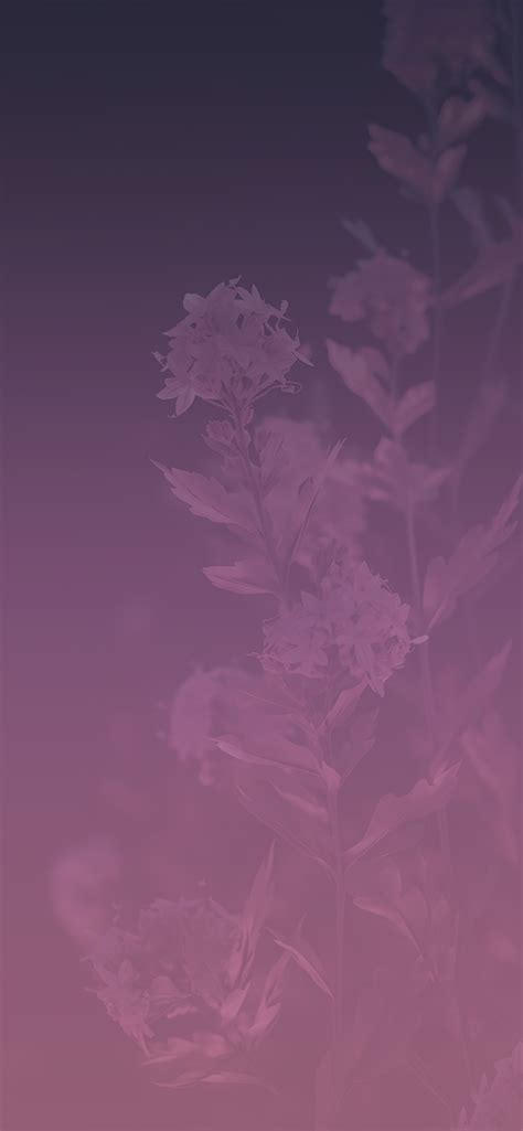Dark Purple Flowers Background