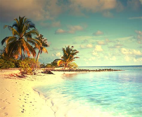 tropical, Paradise, Beach, Palms, Sea, Ocean, Sunshine, Summer, Vacation Wallpapers HD / Desktop ...