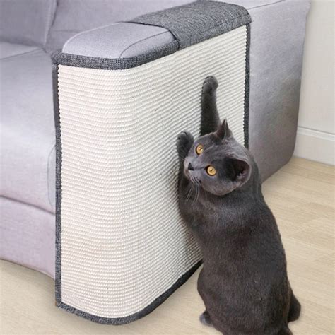 Cat Scratcher Sofa Protector - Cat Meme Stock Pictures and Photos