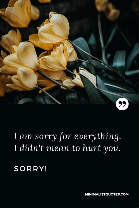 Sorry Wishes, Quotes & Messages | Minimalist Quotes