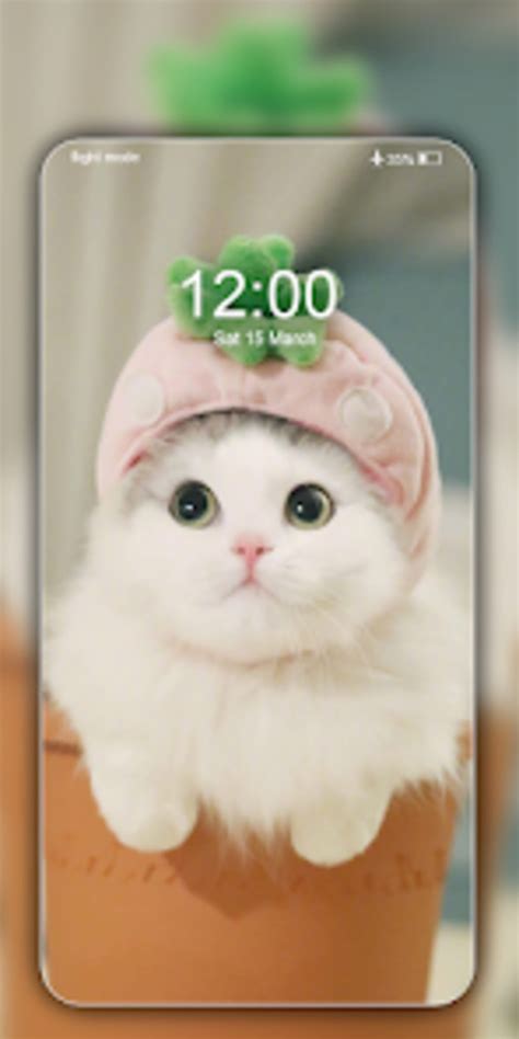 Cute Cat Wallpaper Live HD 4K for Android - Download