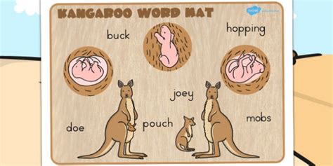 Kangaroo Life Cycle Word Mat - Primary Resource