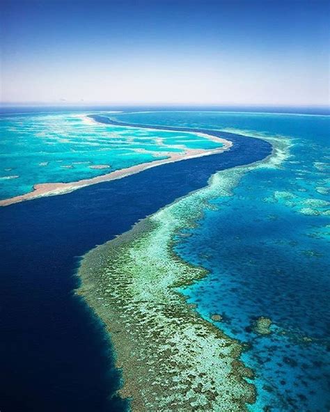 A stunning aerial shot of the Great Barrier Reef. Photo by @_danieltran_ via @zincportdouglas in ...