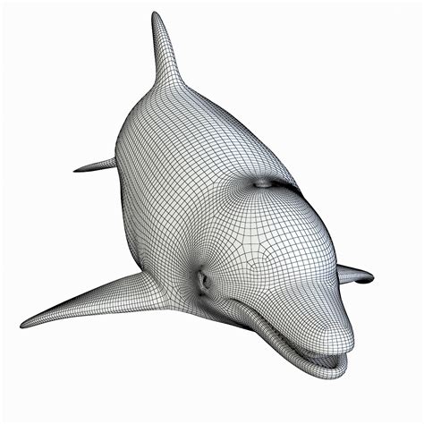 Dolphin realistic 3D model - TurboSquid 1177624