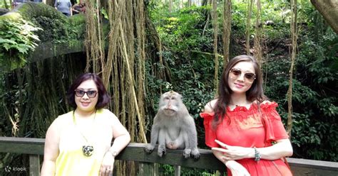 Ubud Monkey Forest and Butterfly Park Half Day Tour - Klook