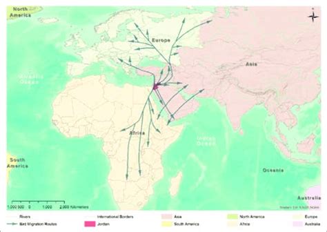 RIFT VALLEY/RED SEA FLYWAY | Download Scientific Diagram