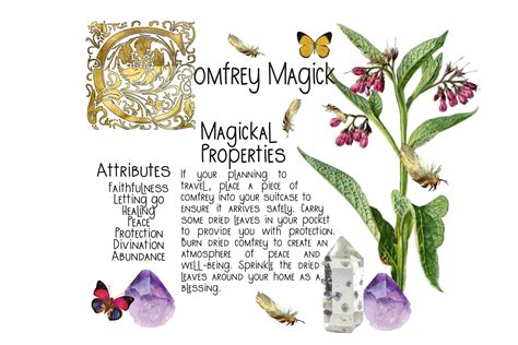 The Interesting Magickal Properties Of Comfrey