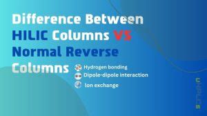 What Is The Difference Between HILIC Columns VS Normal Reverse Columns ...