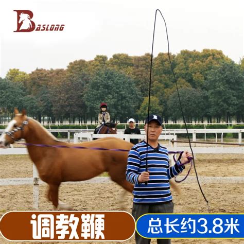 Training Whip Equestrian Whip Horse Training Whip Rod Body 3.8M Horse ...