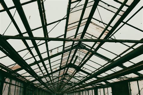 Metal Frames Inside the Greenhouse. Stock Photo - Image of building, glass: 275458960