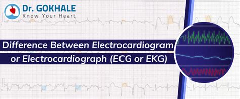 Difference Between Electrocardiogram or Electrocardiograph (ECG or EKG ...