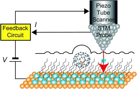 Scanning Tunneling Microscope Diagram