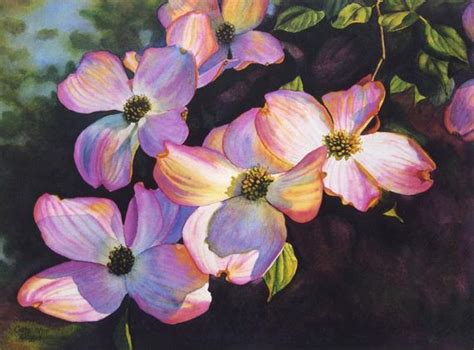 Dogwood Watercolor at PaintingValley.com | Explore collection of ...