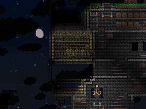 Seeds | Terraria Wiki | FANDOM powered by Wikia